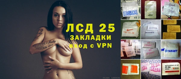 PSILOCYBIN Сафоново