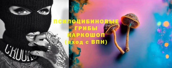 индика Балабаново