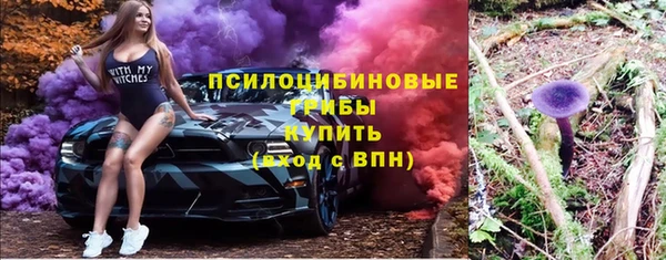индика Балабаново