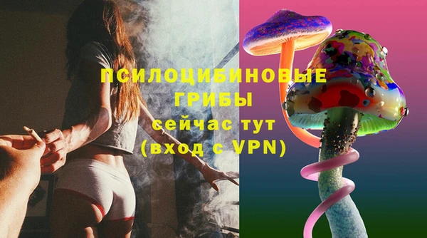 прущие грибы Семикаракорск