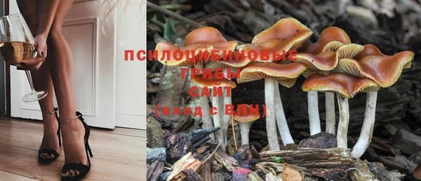 прущая мука Балахна