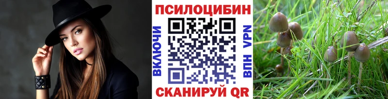 Псилоцибиновые грибы Cubensis  Вытегра 